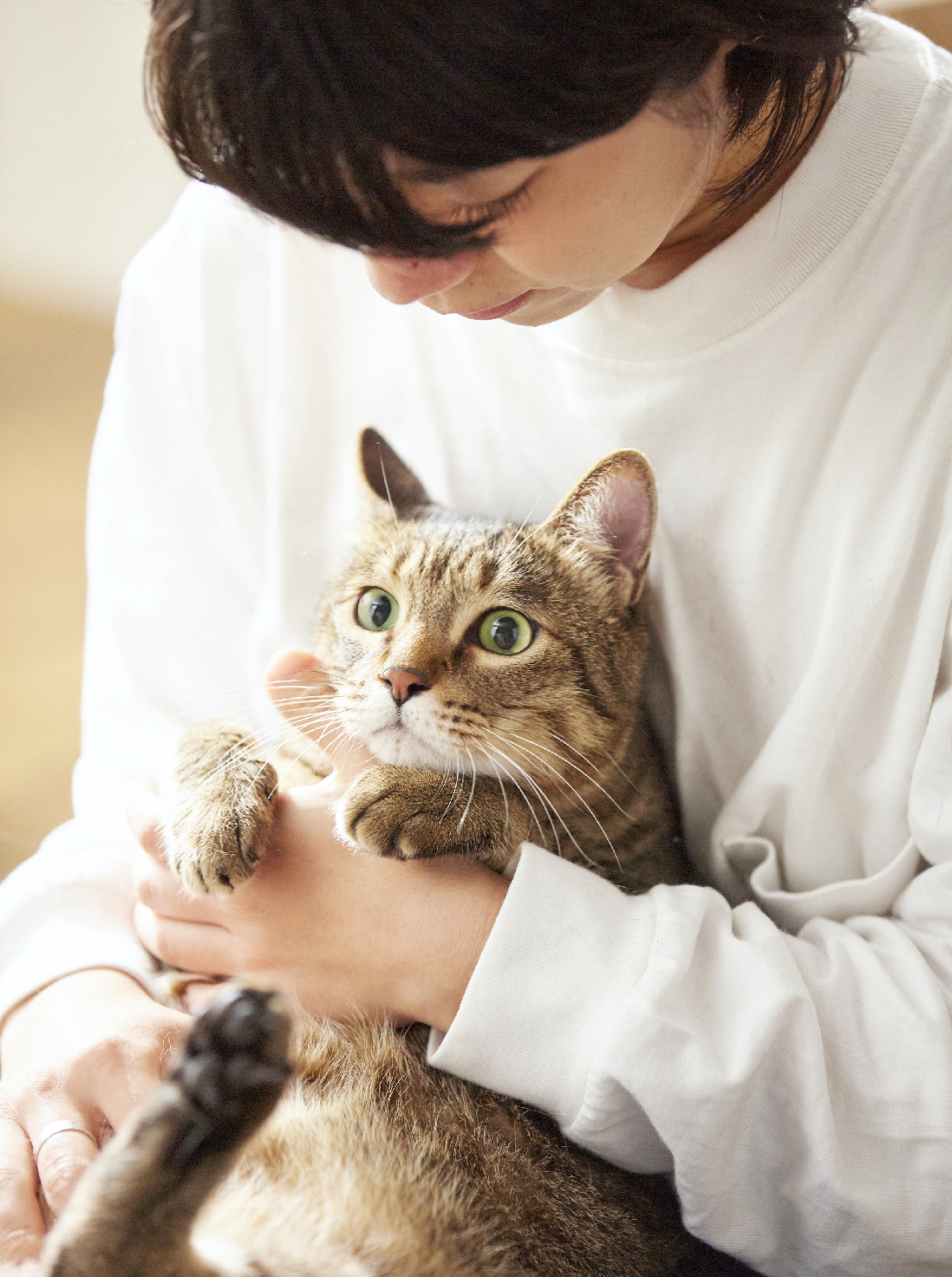 Animal Welfare